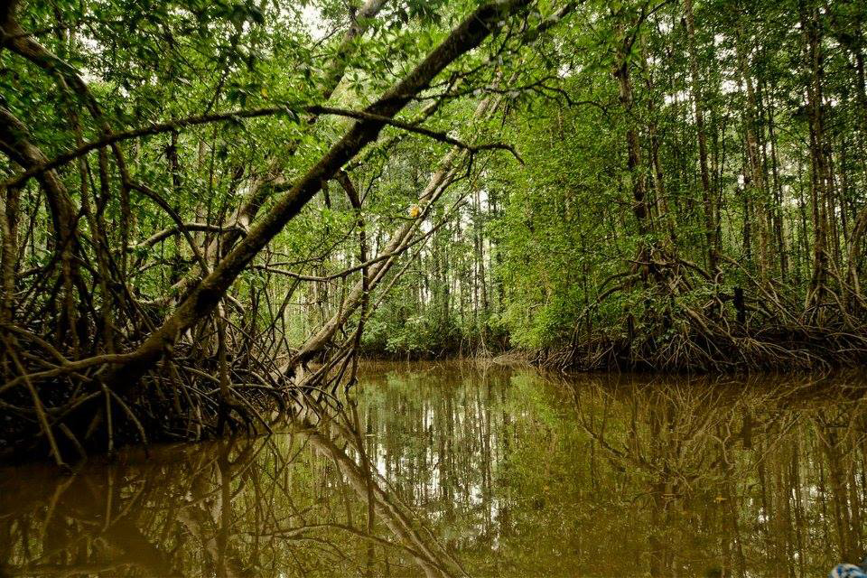 semana-de-la-biodiversidad-contara-con-la-gran-muestra-de-negocios-verdes-de-la-cvc-03