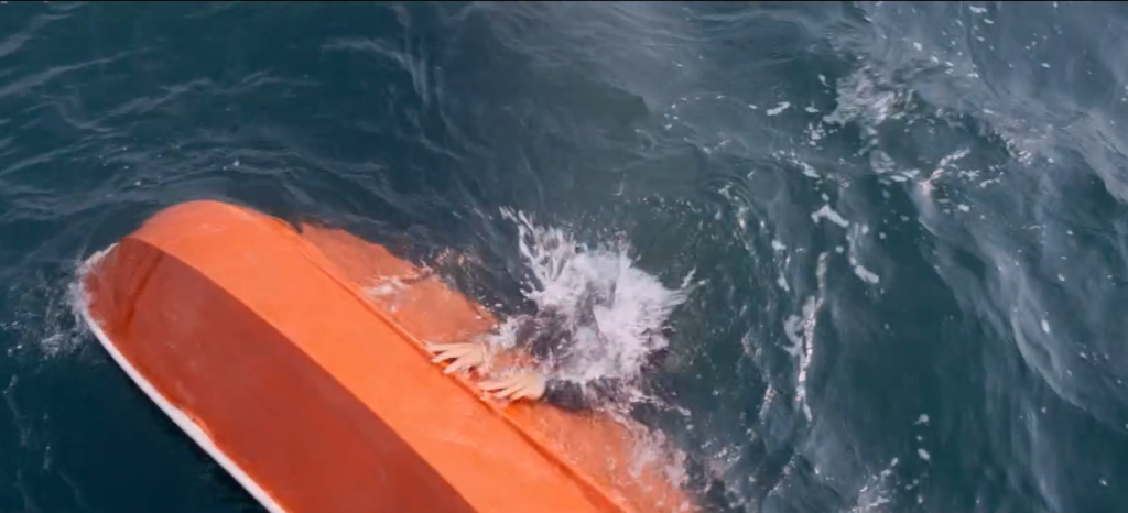 tiburon-Jaws-50-aniversario-02