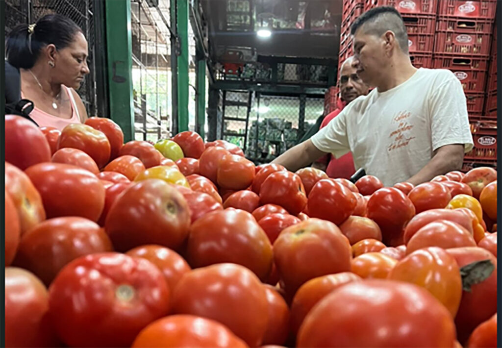 cavasa-garantiza-la-seguridad-alimentaria-en-el-valle-del-cauca-01