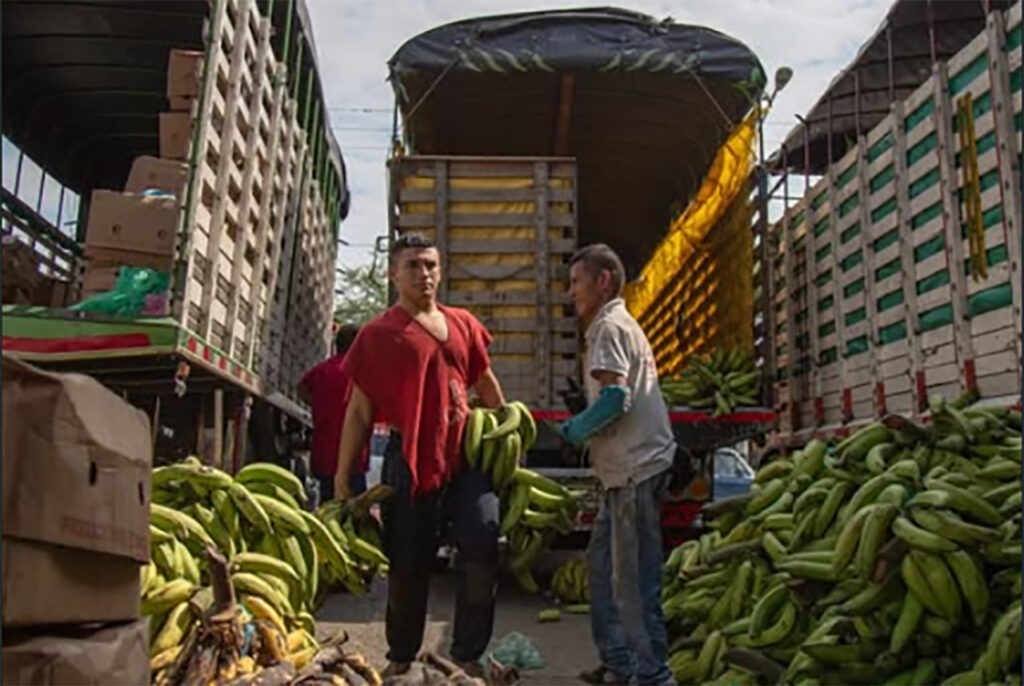 cavasa-garantiza-la-seguridad-alimentaria-en-el-valle-del-cauca-02