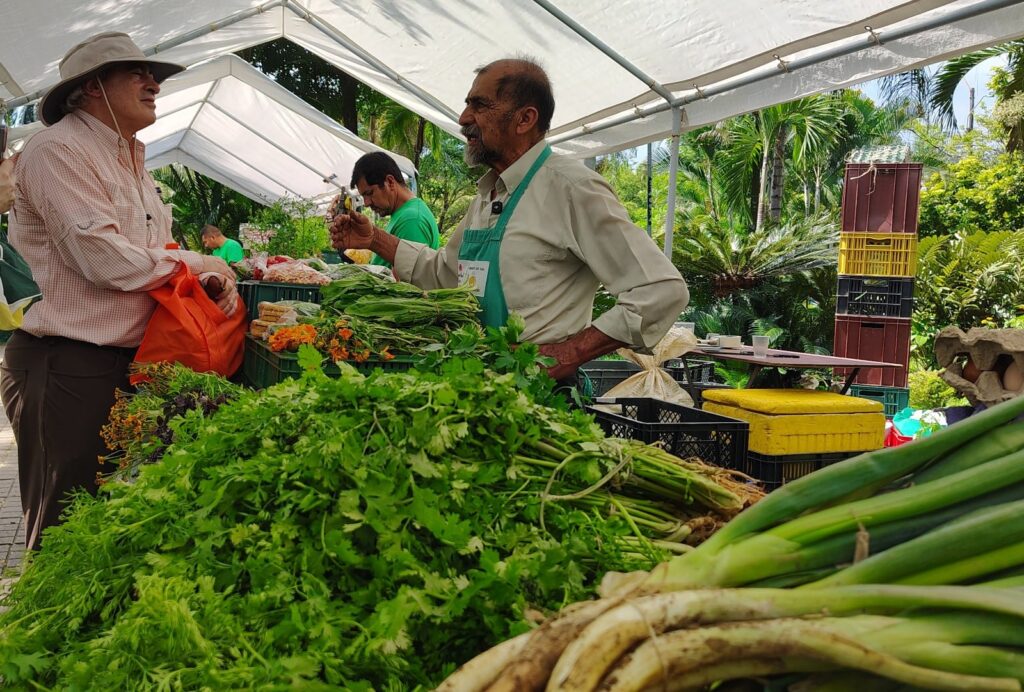 nos-unimos-o-nos-hundimos-asegura-alejandro-de-lima-bohmer-03